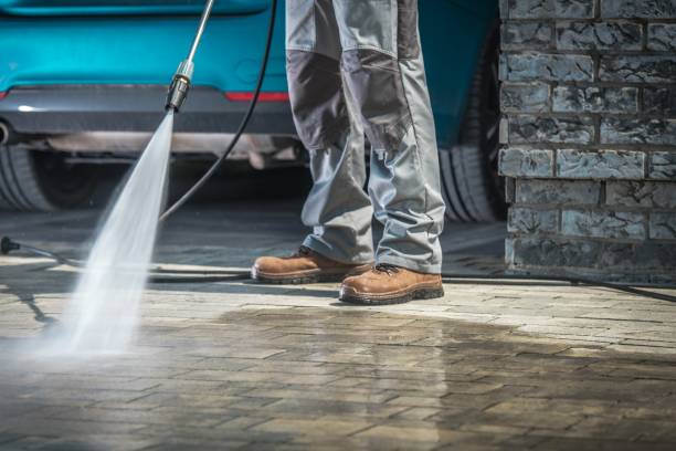 Best Roof Washing  in Lewisville, TX