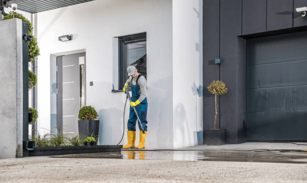 Best Dumpster Area Cleaning  in Lewisville, TX